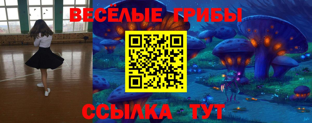 Нижнекамск  Псилоцибиновые грибы Psilocybine cubensis  Вход с VPN 